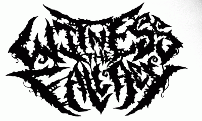 logo Witness The Fallacy